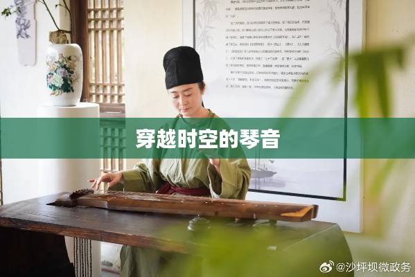 穿越时空的琴音