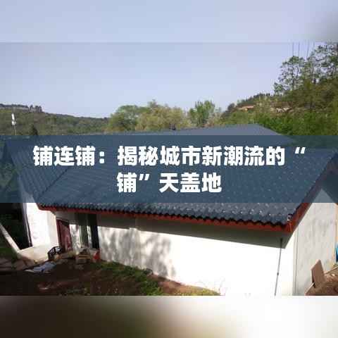 铺连铺:揭秘城市新潮流的“铺”天盖地