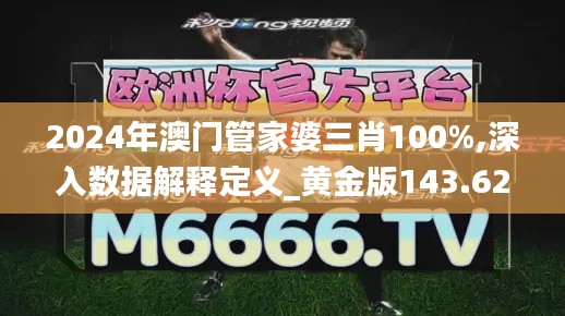 2024年澳门管家婆三肖100%,深入数据解释定义_黄金版143.628