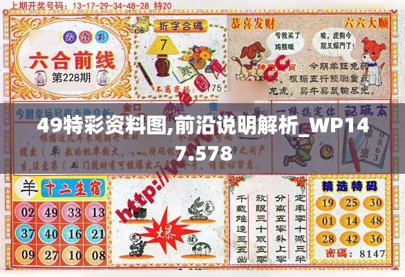 49特彩资料图,前沿说明解析_WP147.578