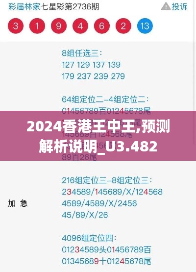 2024香港王中王,预测解析说明_U3.482