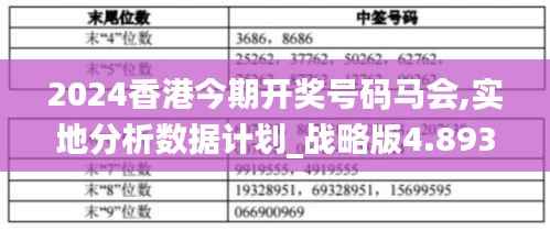 2024香港今期开奖号码马会,实地分析数据计划_战略版4.893