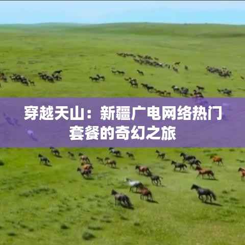 穿越天山:新疆广电网络热门套餐的奇幻之旅