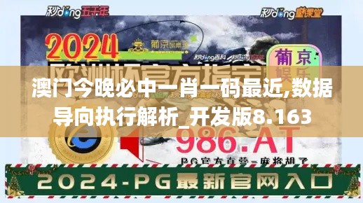 澳门今晚必中一肖一码最近,数据导向执行解析_开发版8.163