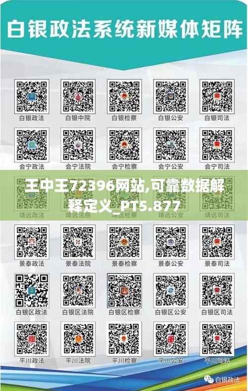 王中王72396网站,可靠数据解释定义_PT5.877