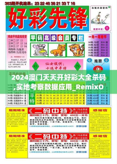 2024澳门天天开好彩大全杀码,实地考察数据应用_RemixOS10.892