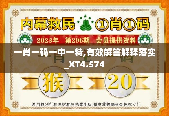 一肖一码一中一特,有效解答解释落实_XT4.574