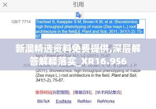 新澳精选资料免费提供,深层解答解释落实_XR16.956