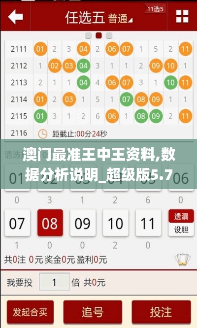 澳门最准王中王资料,数据分析说明_超级版5.743