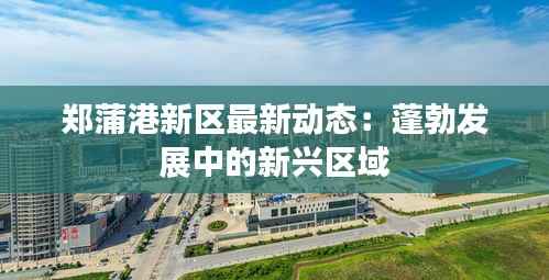 郑蒲港新区最新动态:蓬勃发展中的新兴区域