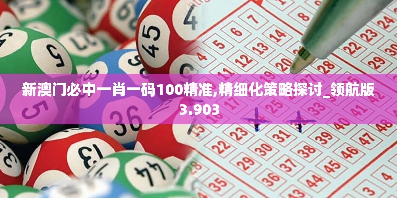 新澳门必中一肖一码100精准,精细化策略探讨_领航版3.903