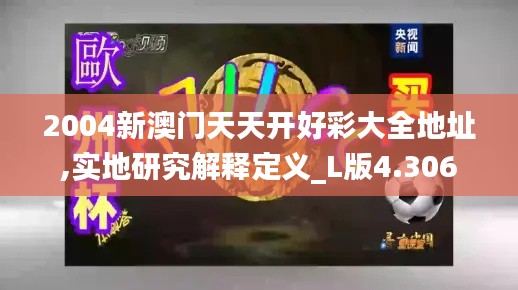 2004新澳门天天开好彩大全地址,实地研究解释定义_L版4.306