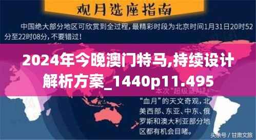 2024年今晚澳门特马,持续设计解析方案_1440p11.495