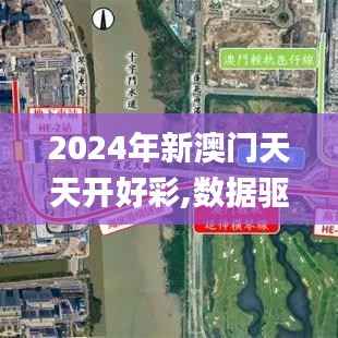 2024年新澳门天天开好彩,数据驱动计划_静态版17.631