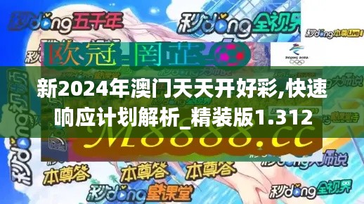 新2024年澳门天天开好彩,快速响应计划解析_精装版1.312