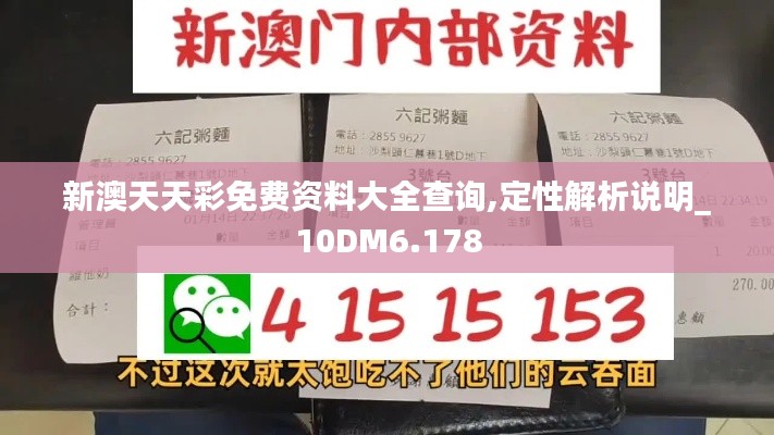 新澳天天彩免费资料大全查询,定性解析说明_10DM6.178