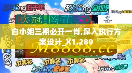 白小姐三期必开一肖,深入执行方案设计_X1.289