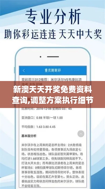 新澳天天开奖免费资料查询,调整方案执行细节_set7.256