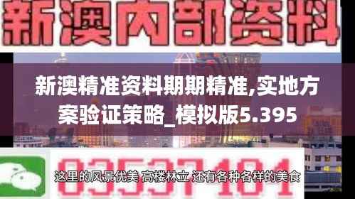 新澳精准资料期期精准,实地方案验证策略_模拟版5.395
