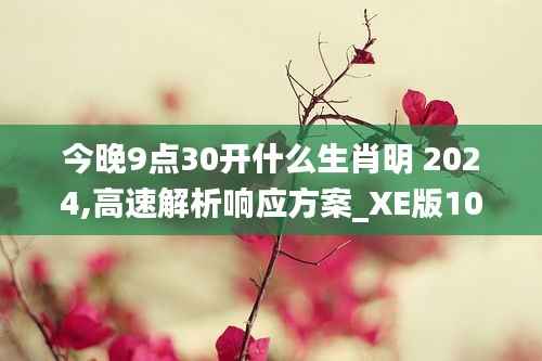 今晚9点30开什么生肖明 2024,高速解析响应方案_XE版10.177