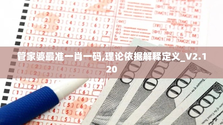 管家婆最准一肖一码,理论依据解释定义_V2.120