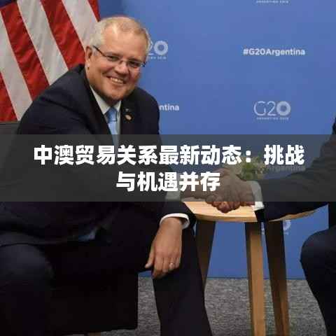 中澳贸易关系最新动态:挑战与机遇并存