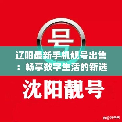 辽阳最新手机靓号出售:畅享数字生活的新选择
