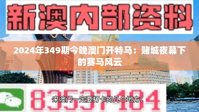 2024年349期今晚澳门开特马:赌城夜幕下的赛马风云