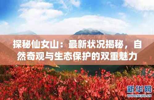 东成西就 第4页