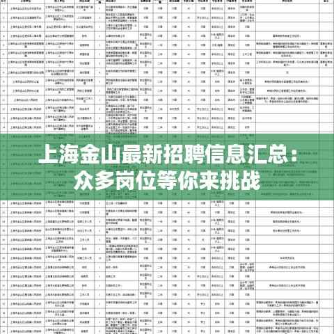 上海金山最新招聘信息汇总:众多岗位等你来挑战