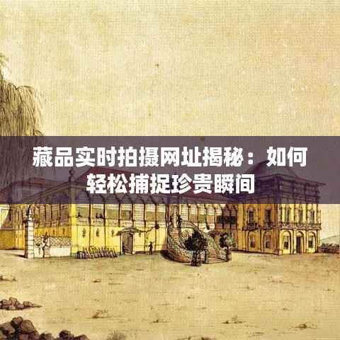 藏品实时拍摄网址揭秘：如何轻松捕捉珍贵瞬间