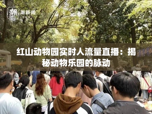 行疾如飞 第3页