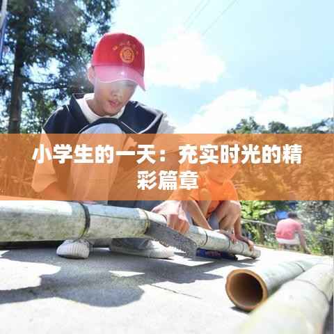 小学生的一天:充实时光的精彩篇章