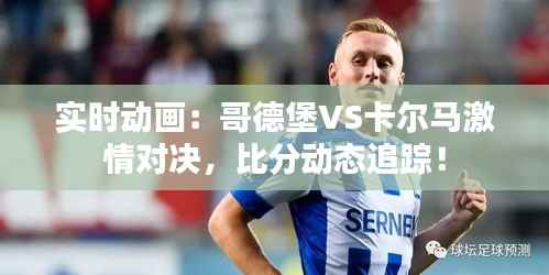 实时动画:哥德堡VS卡尔马激情对决,比分动态追踪!