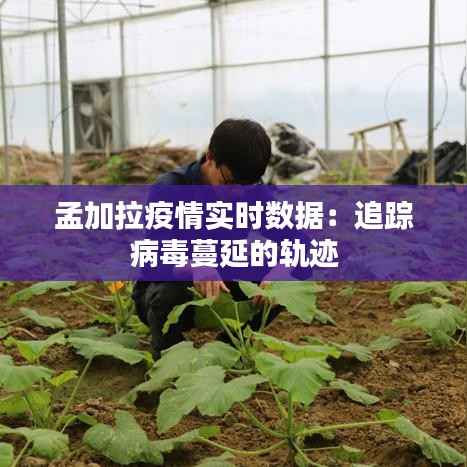 孟加拉疫情实时数据:追踪病毒蔓延的轨迹