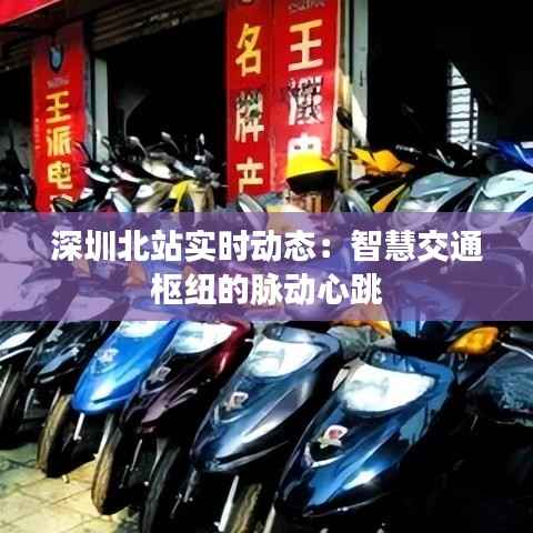 深圳北站实时动态:智慧交通枢纽的脉动心跳