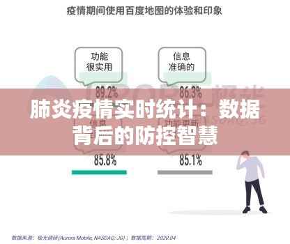 肺炎疫情实时统计:数据背后的防控智慧