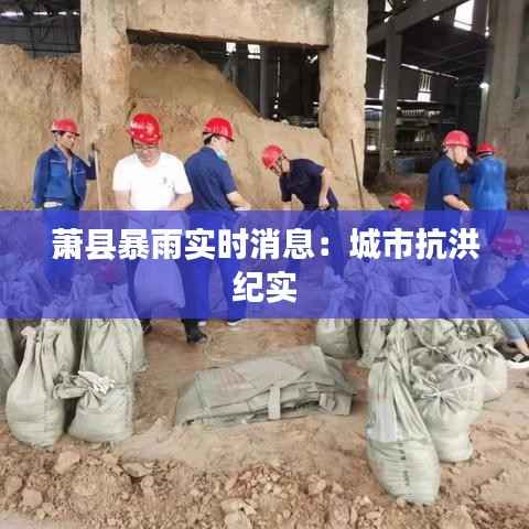 迷离马虎 第3页
