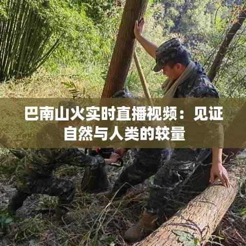 巴南山火实时直播视频:见证自然与人类的较量