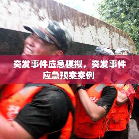 突发事件应急模拟,突发事件应急预案案例