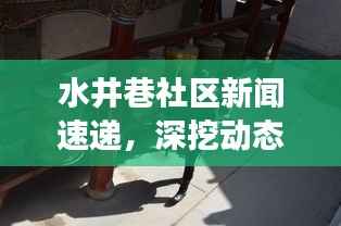 水井巷社区新闻速递,深挖动态,展现独特魅力
