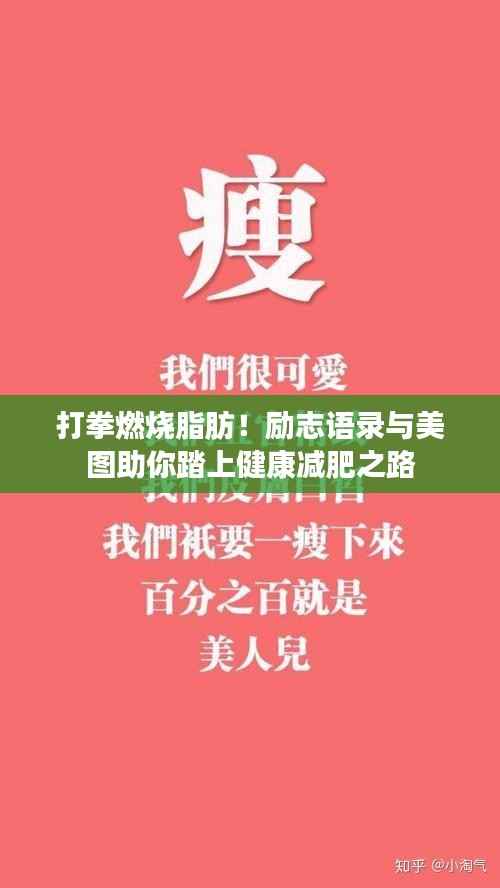 打拳燃烧脂肪!励志语录与美图助你踏上健康减肥之路
