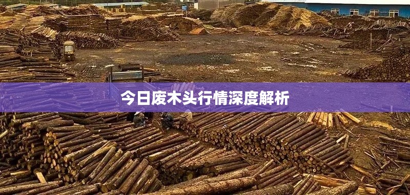 优势与实力 第145页