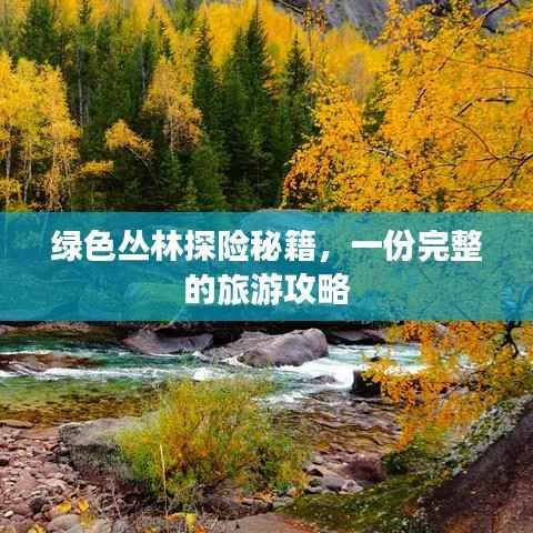 绿色丛林探险秘籍,一份完整的旅游攻略