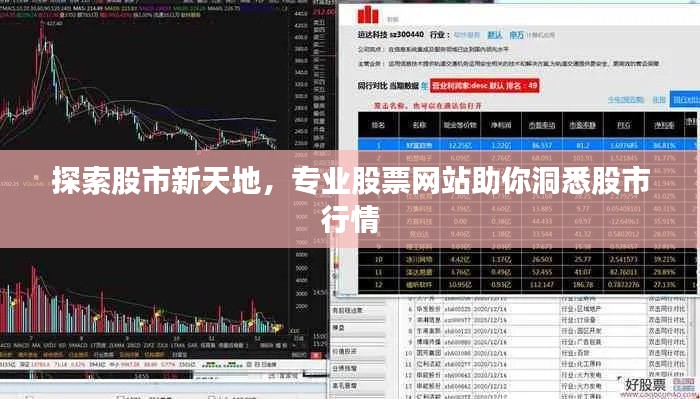 探索股市新天地,专业股票网站助你洞悉股市行情