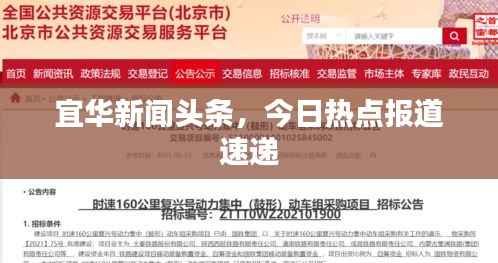 宜华新闻头条,今日热点报道速递
