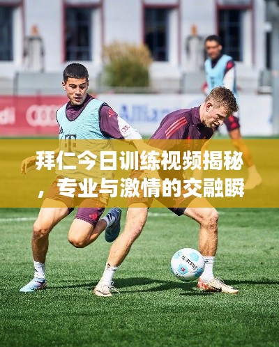 拜仁今日训练视频揭秘,专业与激情的交融瞬间