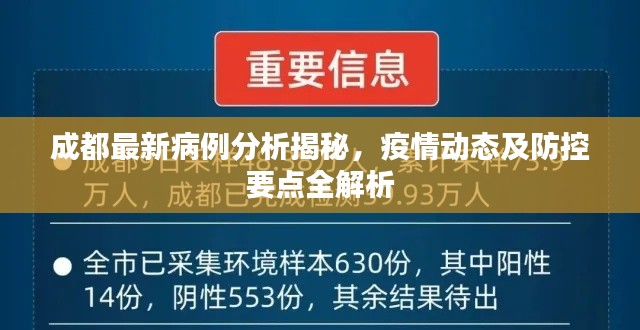 成都最新病例分析揭秘,疫情动态及防控要点全解析