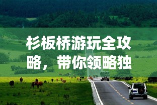 杉板桥游玩全攻略，带你领略独特魅力