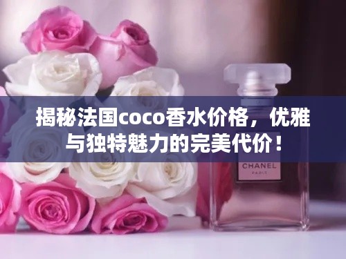 揭秘法国coco香水价格,优雅与独特魅力的完美代价!
